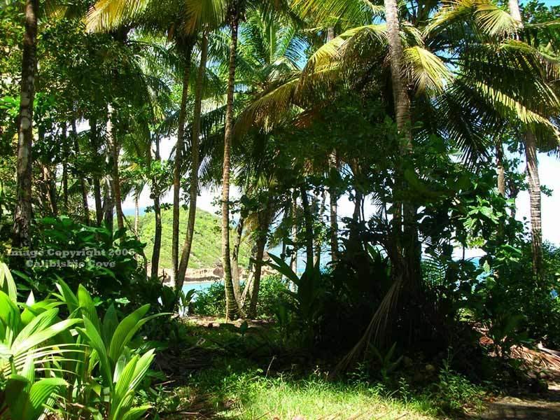 Calibishie Cove Hotel Buitenkant foto
