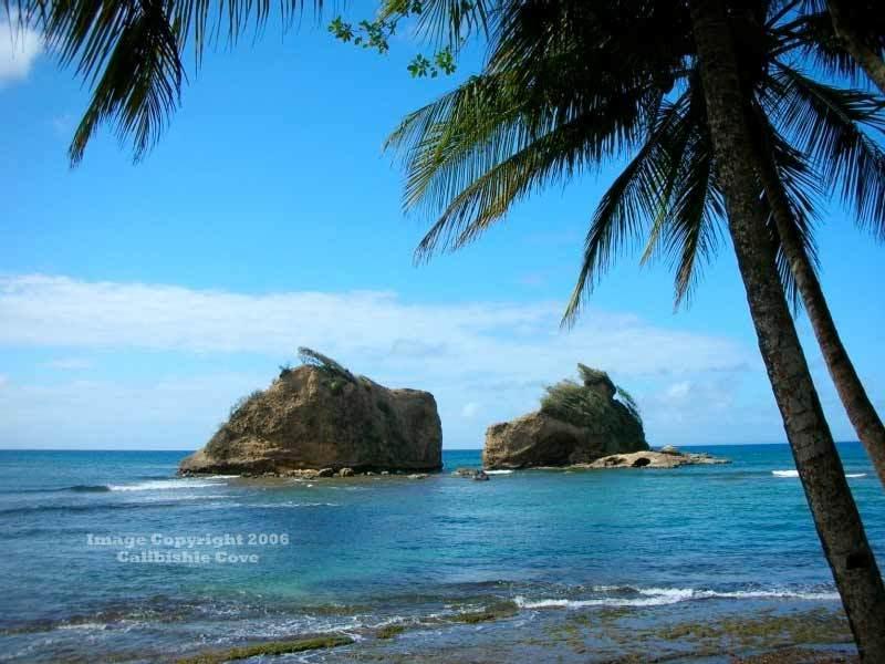 Calibishie Cove Hotel Buitenkant foto